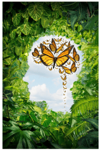 silueta-hlavy-motyle-rastliny
